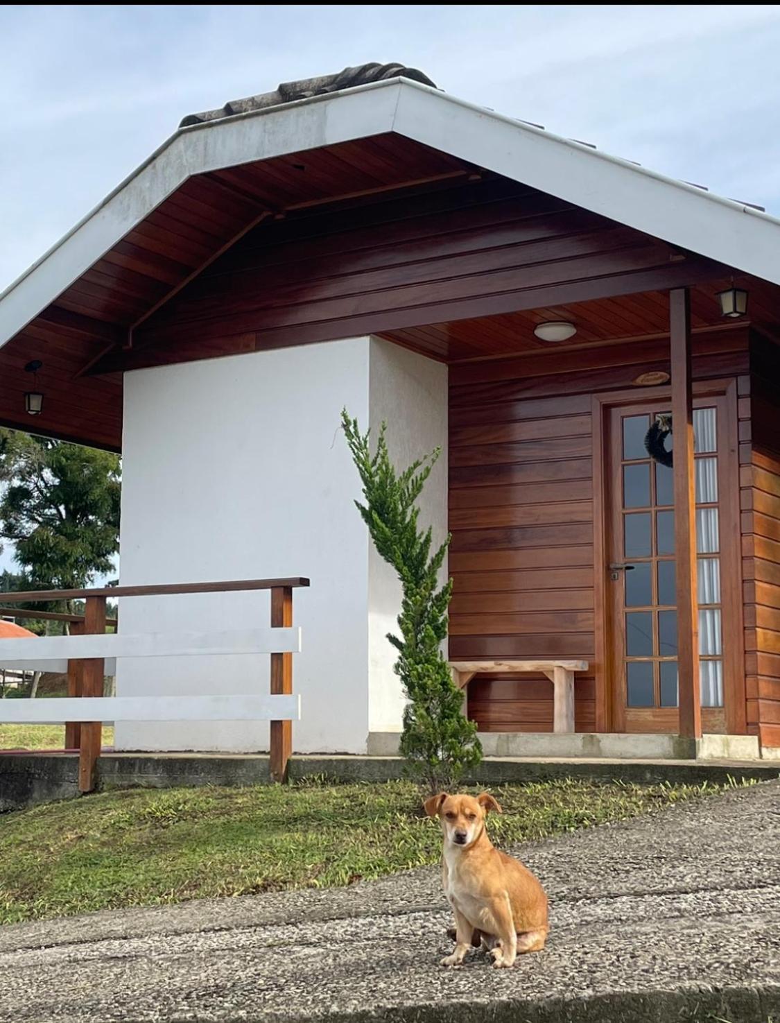 Chale Amanhecer Hotel Santo Antônio do Pinhal Екстериор снимка