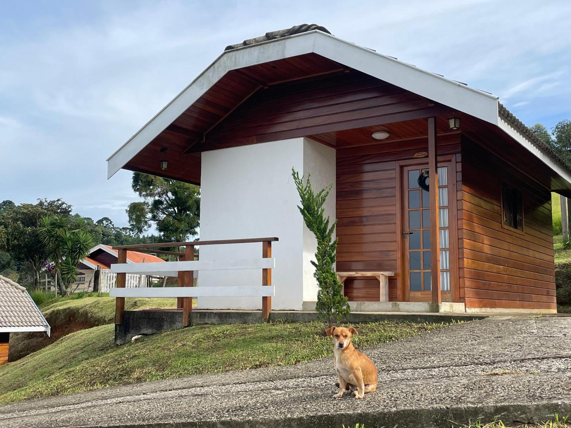 Chale Amanhecer Hotel Santo Antônio do Pinhal Екстериор снимка