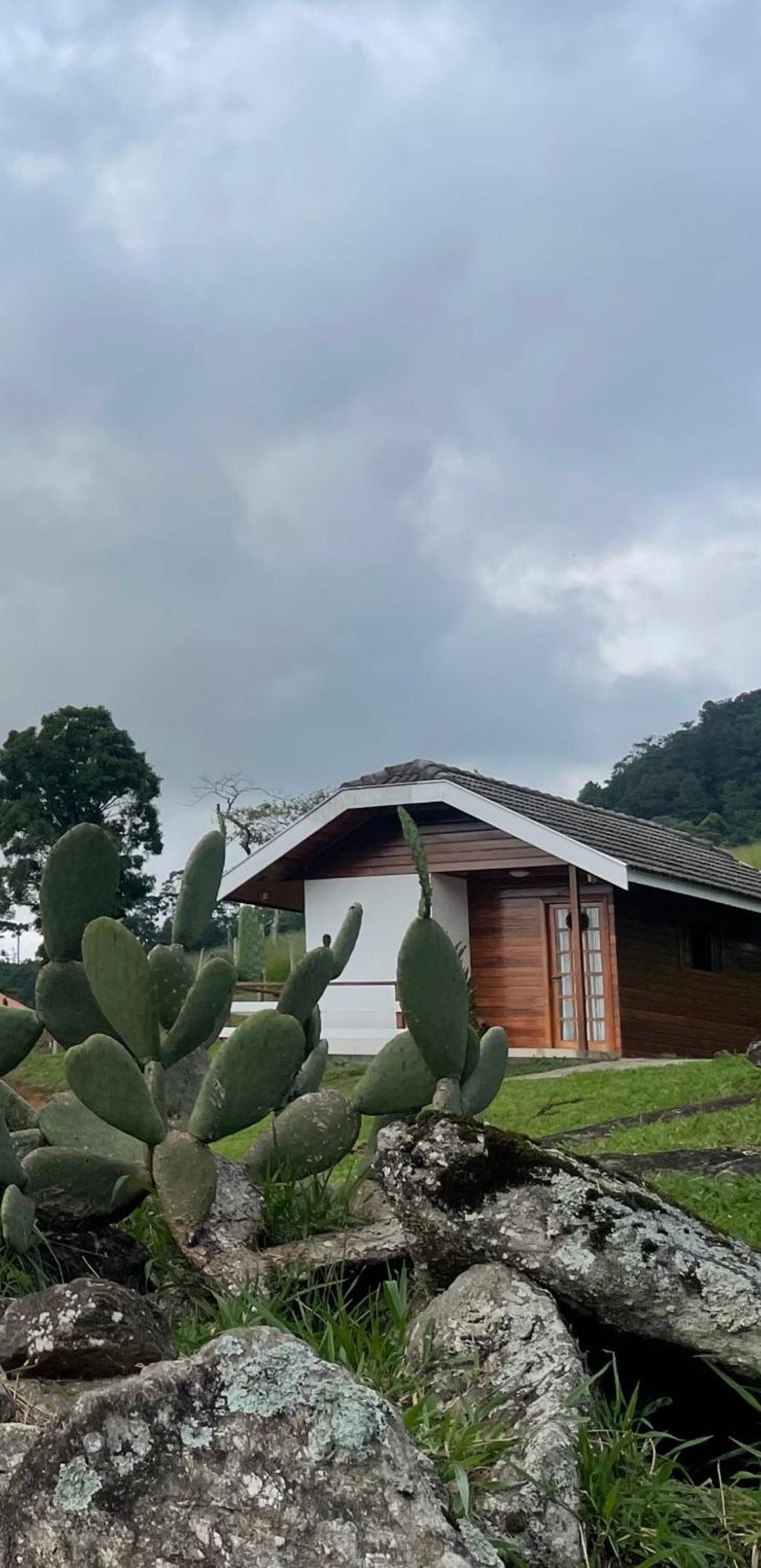 Chale Amanhecer Hotel Santo Antônio do Pinhal Екстериор снимка